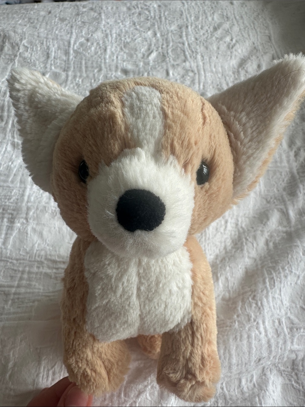 Isobel Chihuahua Jellycat
